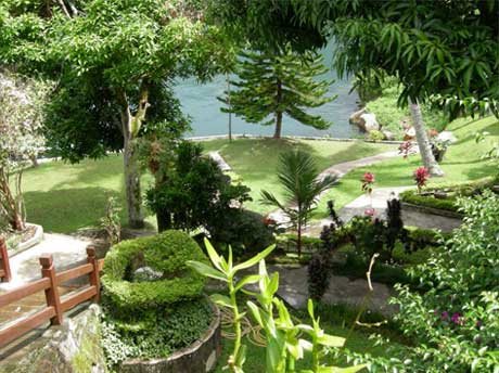 Carolina garden with Lake Toba in the background